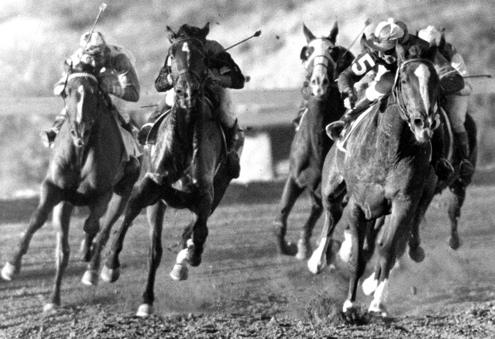 Horse racing at Rillito Park